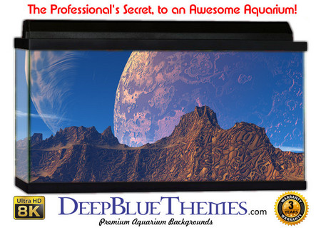 Buy Aquarium Background Otherworld Twins Aquarium Background