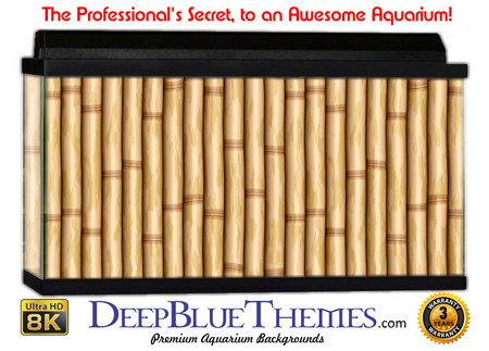 Buy Aquarium Background Perspective Bamboo Aquarium Background