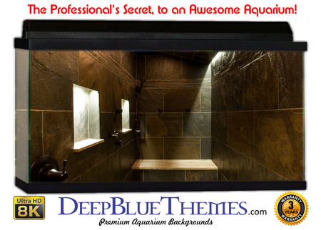 Buy Aquarium Background Perspective Bath Aquarium Background