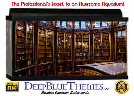Buy Aquarium Background Perspective Books Aquarium Background