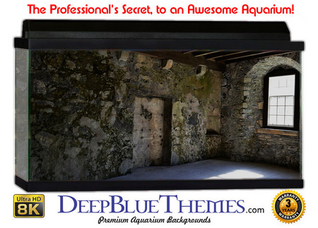Buy Aquarium Background Perspective Castle Aquarium Background