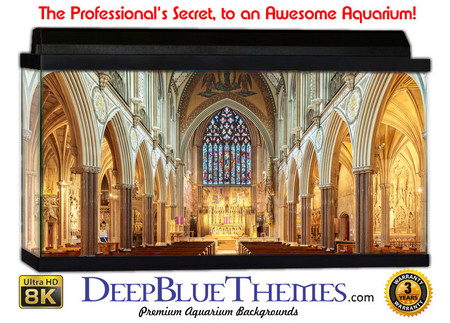 Buy Aquarium Background Perspective Church Aquarium Background