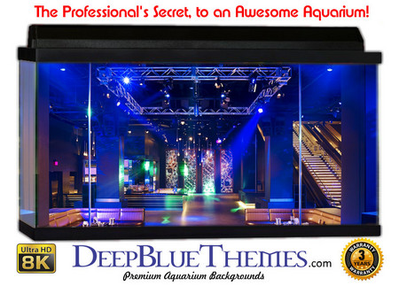 Buy Aquarium Background Perspective Club Aquarium Background