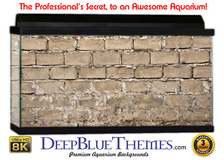 Buy Aquarium Background Perspective Concrete Aquarium Background