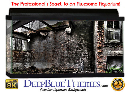 Buy Aquarium Background Perspective Damaged Aquarium Background