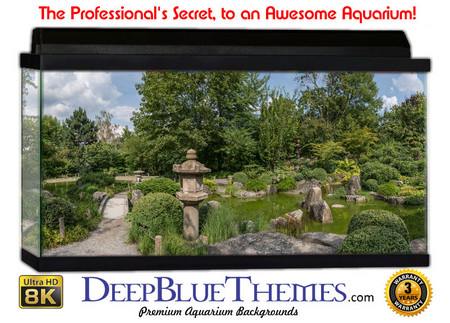 Buy Aquarium Background Perspective Garden Aquarium Background
