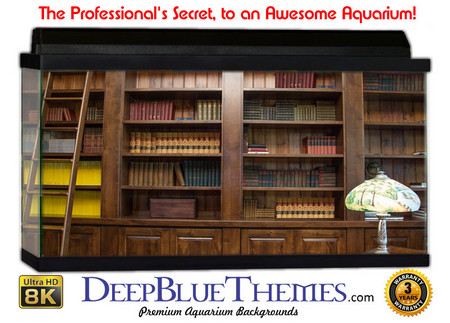 Buy Aquarium Background Perspective Library Aquarium Background