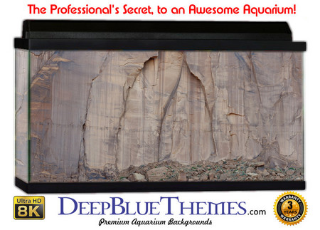 Buy Aquarium Background Perspective Wall Aquarium Background