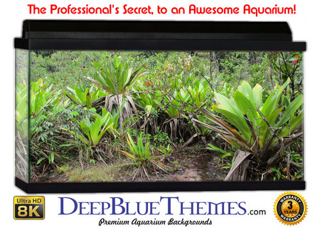 Buy Aquarium Background Rainforest Beach Aquarium Background