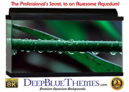Buy Aquarium Background Rainforest Branch Aquarium Background
