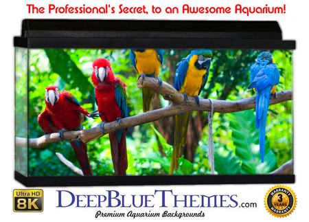Buy Aquarium Background Rainforest Curious Aquarium Background