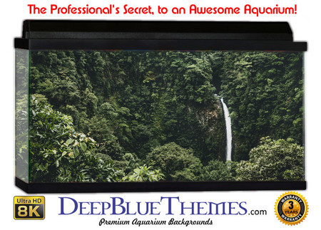 Buy Aquarium Background Rainforest Dense Aquarium Background