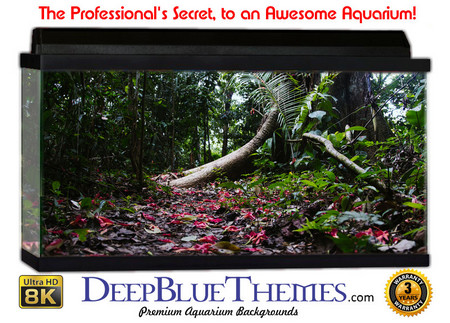 Buy Aquarium Background Rainforest Depth Aquarium Background