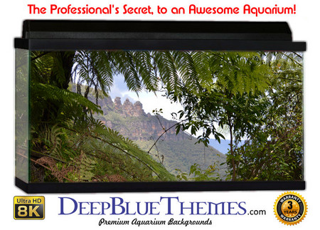 Buy Aquarium Background Rainforest Distant Aquarium Background