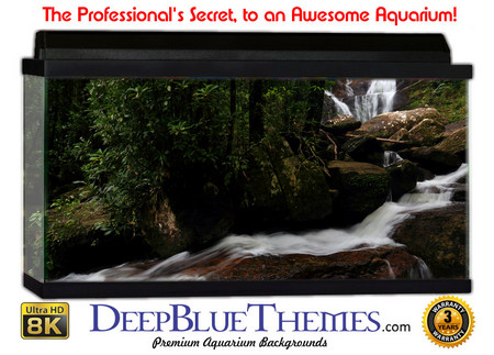 Buy Aquarium Background Rainforest Falling Aquarium Background