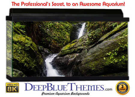 Buy Aquarium Background Rainforest Flow Aquarium Background