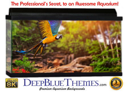 Buy Aquarium Background Rainforest Fly Aquarium Background