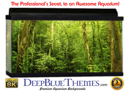 Buy Aquarium Background Rainforest Green Aquarium Background