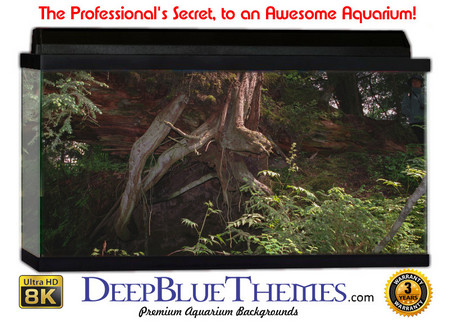 Buy Aquarium Background Rainforest Hill Aquarium Background