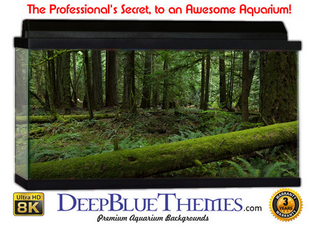 Buy Aquarium Background Rainforest Log Aquarium Background