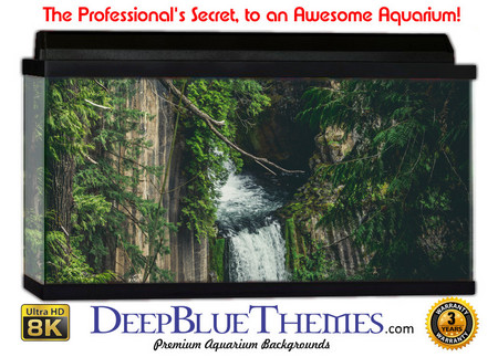 Buy Aquarium Background Rainforest Mist Aquarium Background