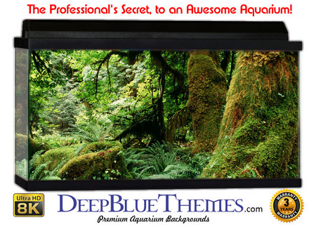 Buy Aquarium Background Rainforest Moss Aquarium Background
