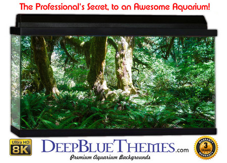 Buy Aquarium Background Rainforest Oasis Aquarium Background