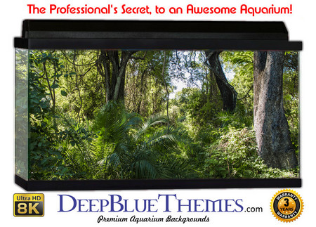 Buy Aquarium Background Rainforest Peace Aquarium Background