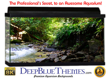 Buy Aquarium Background Rainforest Quiet Aquarium Background