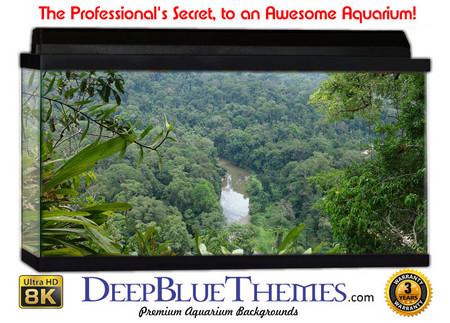 Buy Aquarium Background Rainforest Range Aquarium Background