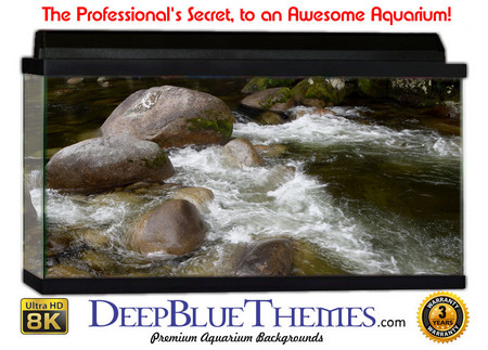 Buy Aquarium Background Rainforest Rapids Aquarium Background