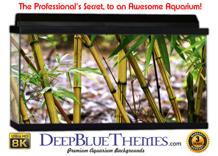 Buy Aquarium Background Rainforest Reed Aquarium Background