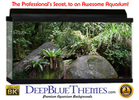 Buy Aquarium Background Rainforest Rock Aquarium Background