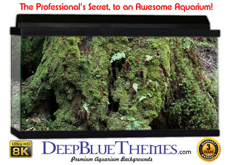 Buy Aquarium Background Rainforest Roots Aquarium Background