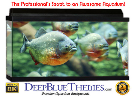 Buy Aquarium Background Rainforest Teeth Aquarium Background