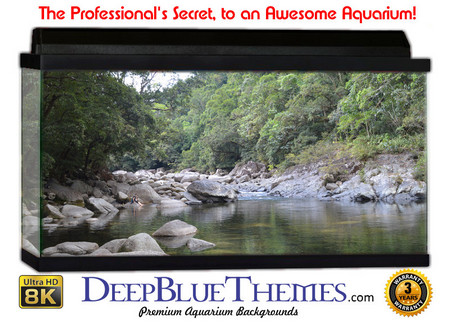 Buy Aquarium Background Rainforest Trek Aquarium Background