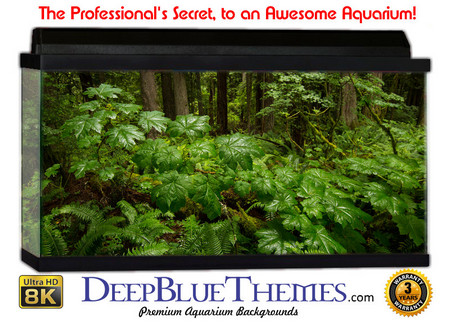 Buy Aquarium Background Rainforest Wide Aquarium Background