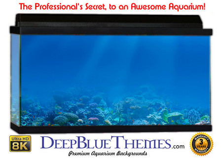 Buy Aquarium Background Reef Light Aquarium Background