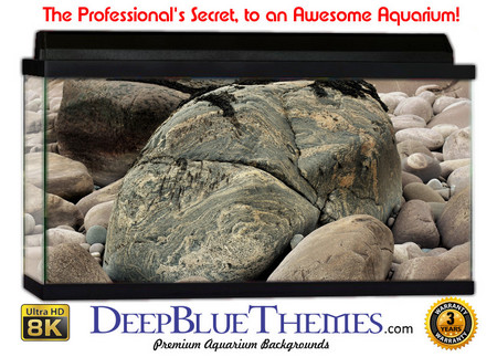 Buy Aquarium Background Riverrocks Alien Aquarium Background