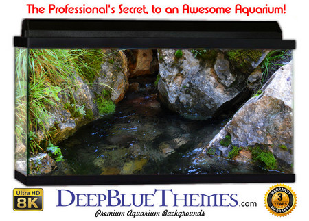 Buy Aquarium Background Riverrocks Area Aquarium Background