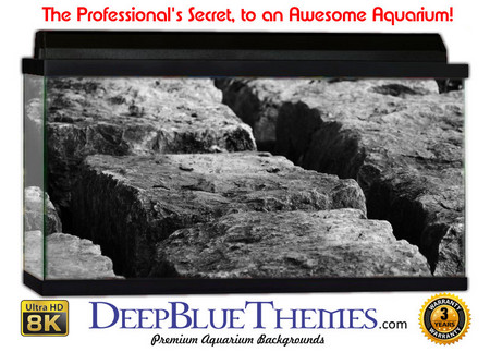 Buy Aquarium Background Riverrocks Blocks Aquarium Background