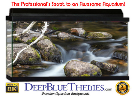 Buy Aquarium Background Riverrocks Branch Aquarium Background