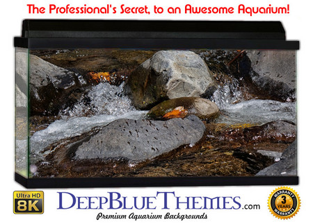 Buy Aquarium Background Riverrocks Bright Aquarium Background