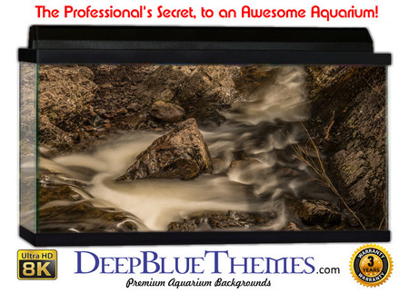 Buy Aquarium Background Riverrocks Brown Aquarium Background