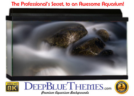 Buy Aquarium Background Riverrocks Clouds Aquarium Background