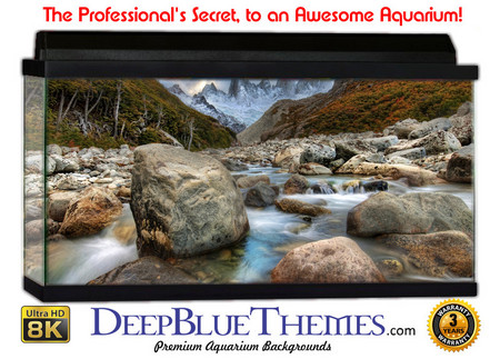 Buy Aquarium Background Riverrocks Double Aquarium Background