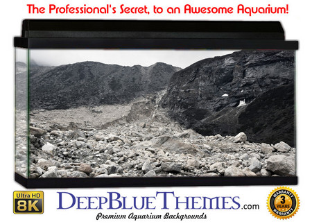 Buy Aquarium Background Riverrocks Dry Aquarium Background