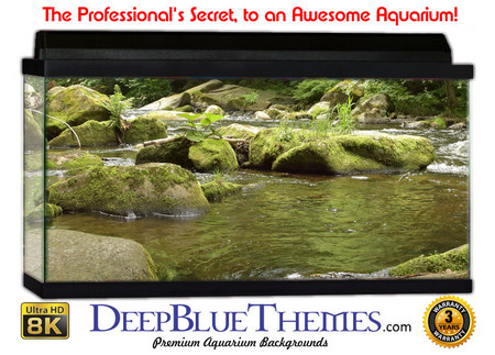 Buy Aquarium Background Riverrocks Empty Aquarium Background