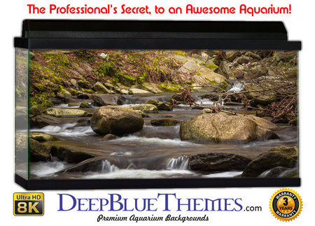 Buy Aquarium Background Riverrocks Flat Aquarium Background