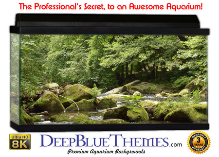 Buy Aquarium Background Riverrocks Green Aquarium Background